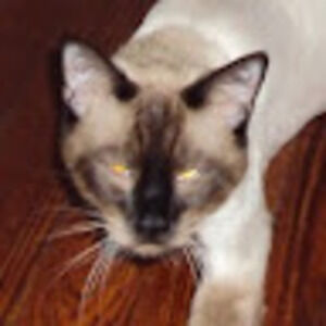 Meet your Posher, Jared